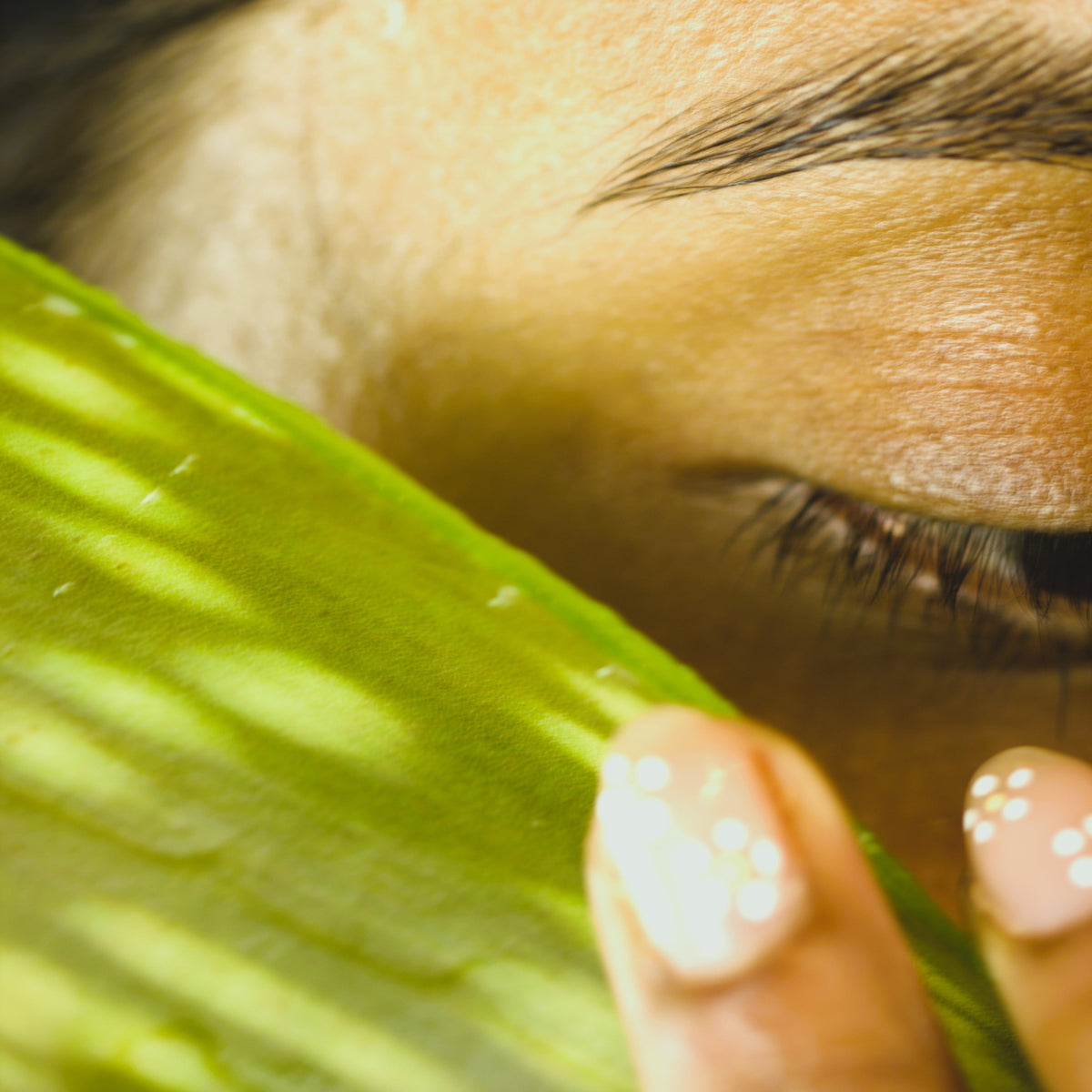 Cocoon Cleanser — NEW IN!