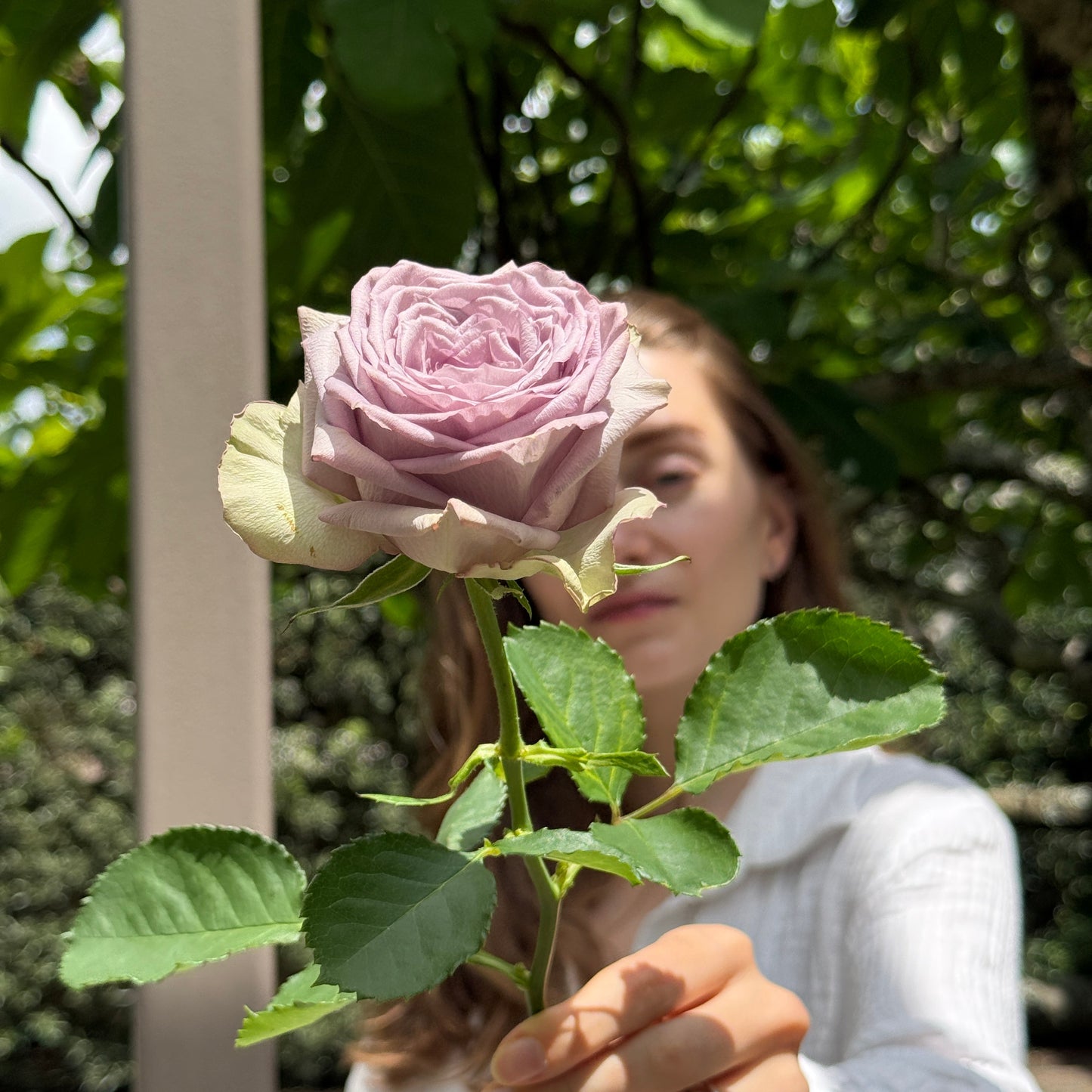 Floral Essence — NEW IN!